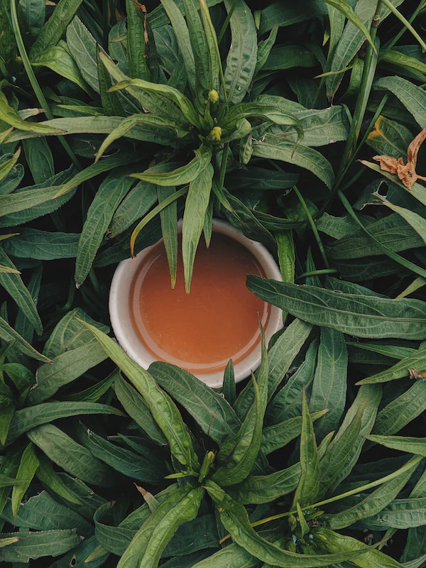 Très très gourmand